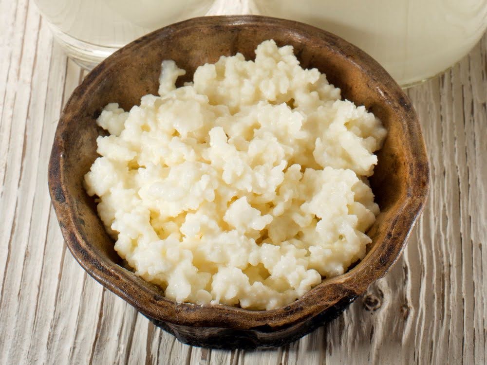 Milk Kefir FAQ | Milk Kefir Grains 101