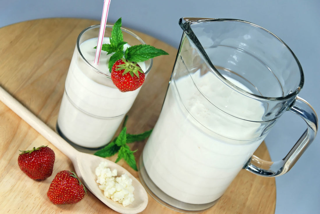 Milk Kefir FAQ | Milk Kefir 101