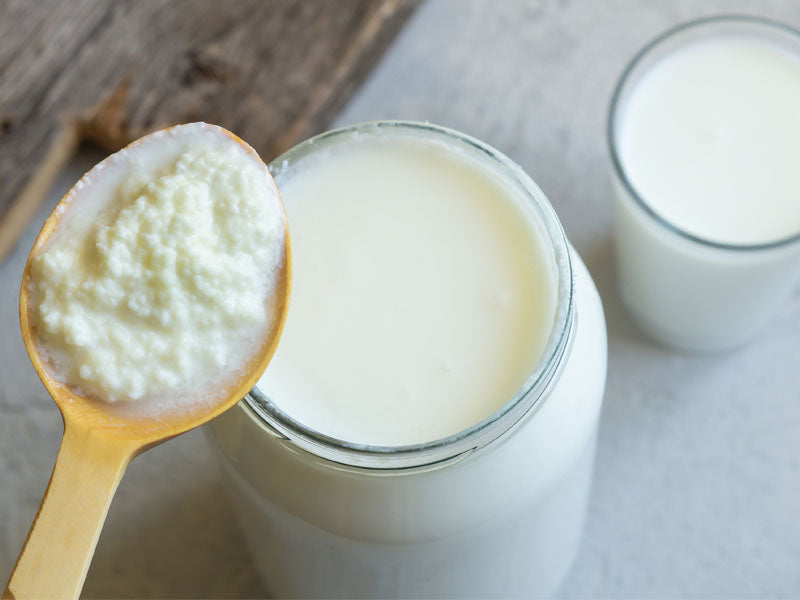 Wooden spoon holding milk kefir grains above a glass jar of homemade milk kefir with two cups of kefir in the background.