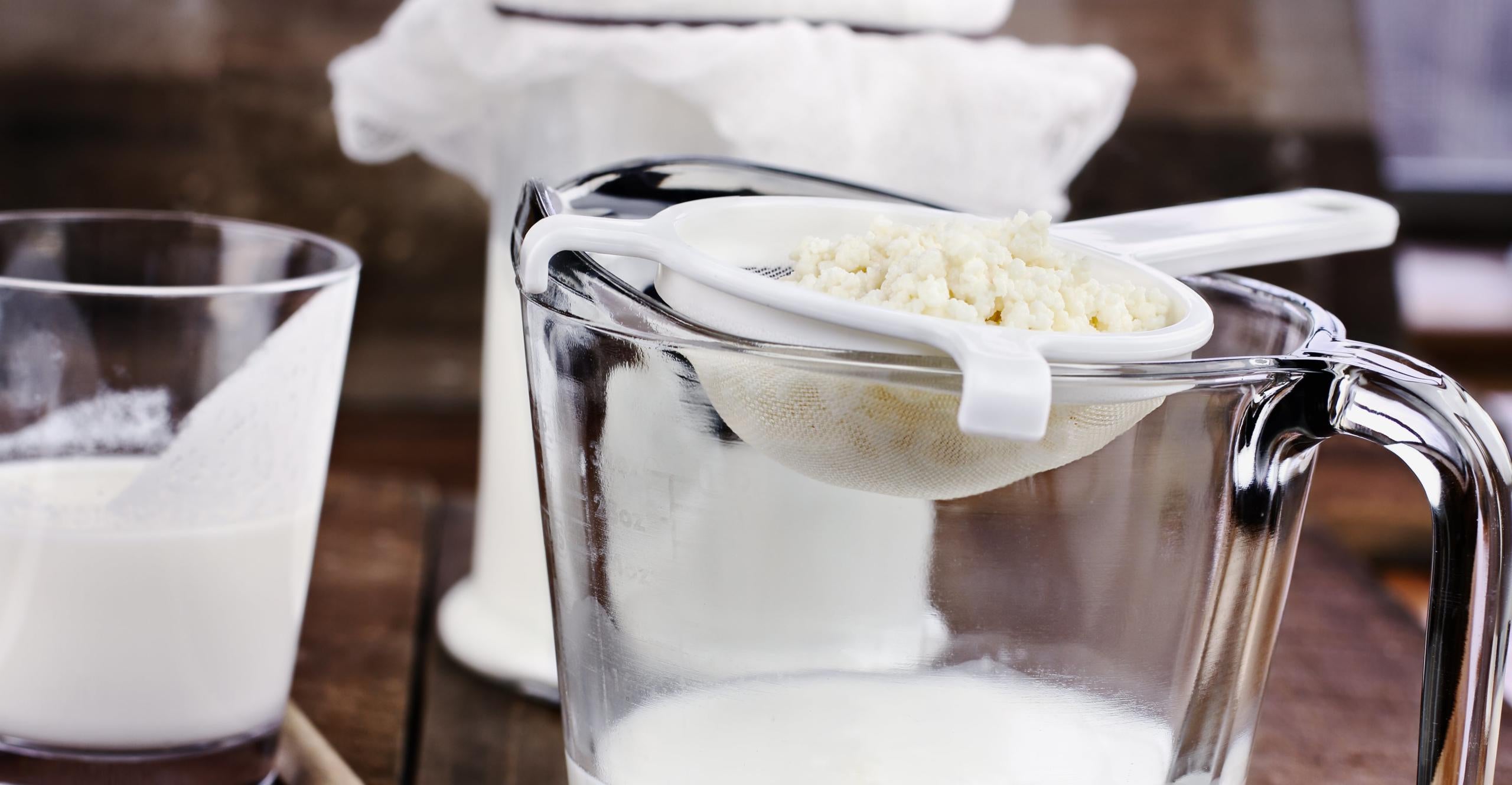 Milk Kefir Grains Strained Over Glass Jug Partly Full of Milk Kefir Sitting on Rustic Wooden Table