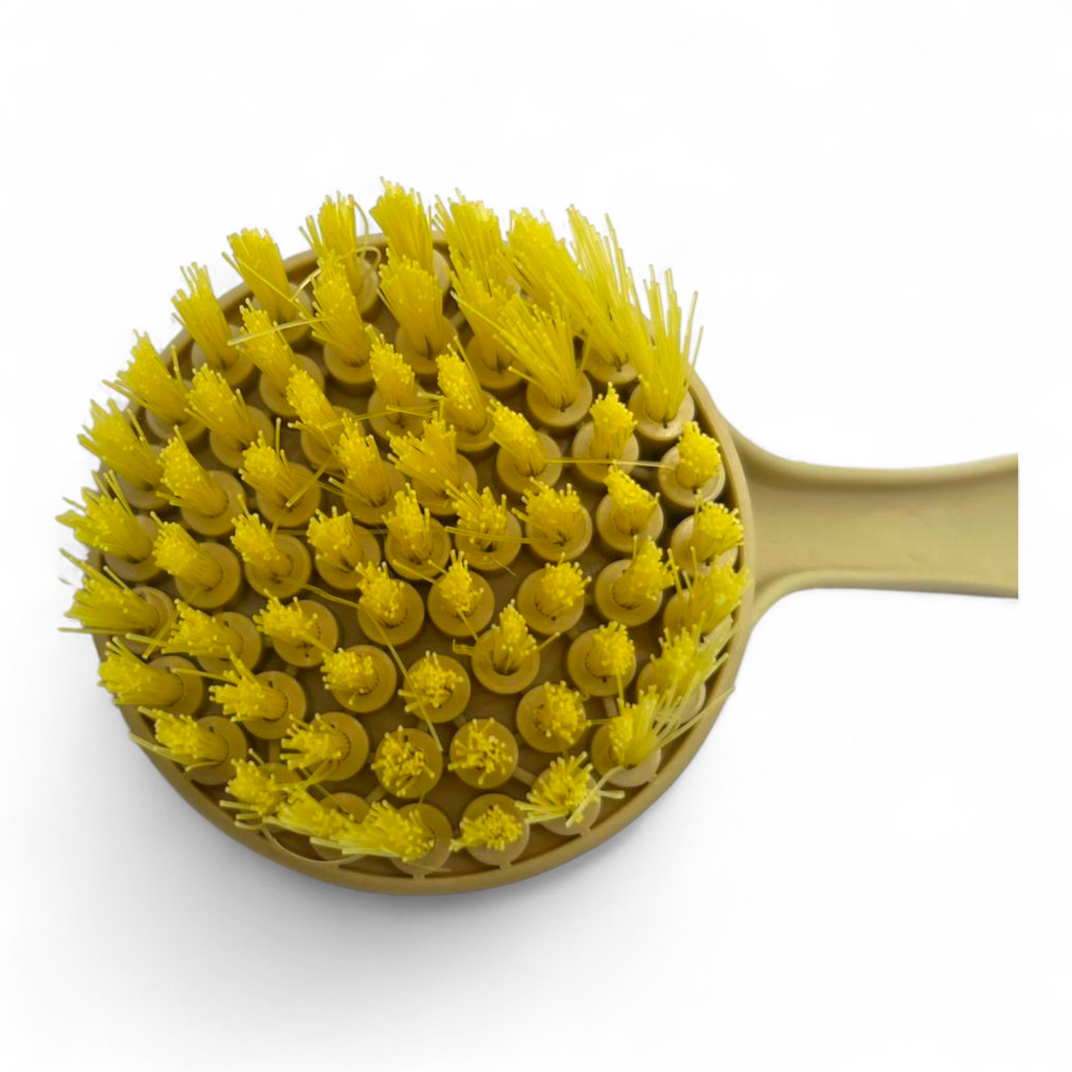 Round brush with yellow bristles on a white background for cleaning bannetons 
