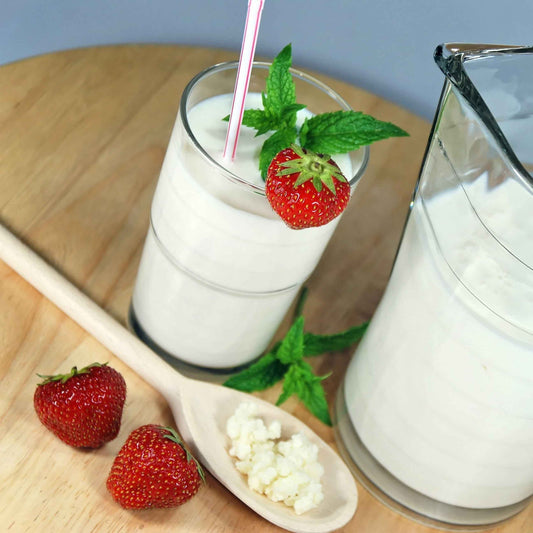 Fresh Organic Milk Kefir Grains - 750ml Brew