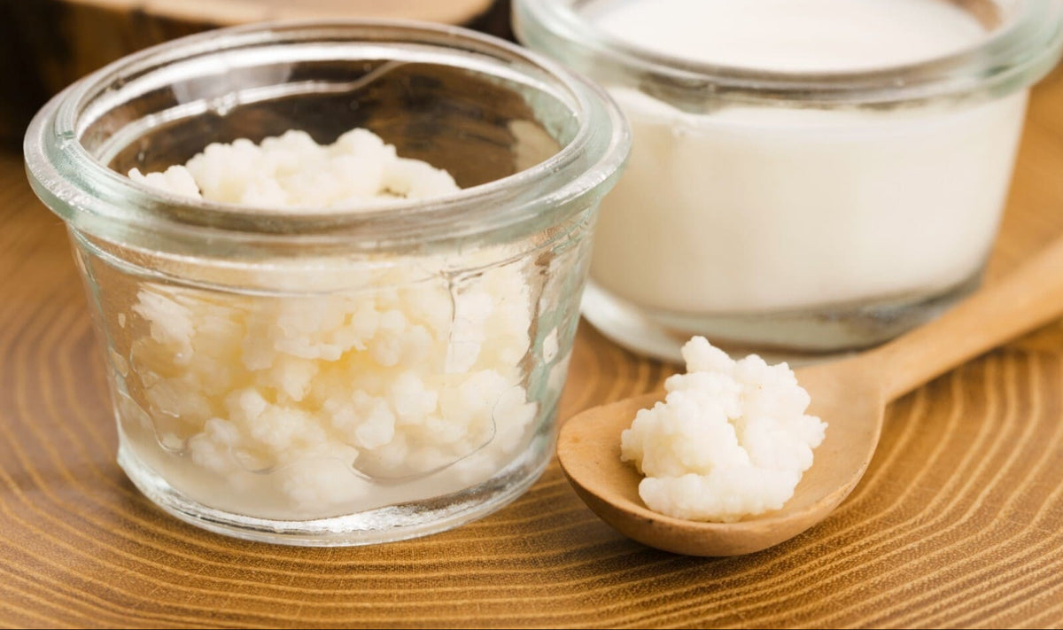 Milk Kefir FAQ | Grain Health, Care & Contamination – Happy Cultures